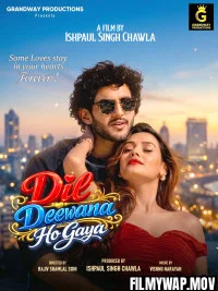  Dil Deewana Ho Gaya (2026) Hindi Movie
