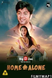  Home Alone (2021) BigMovieZoo Original